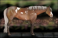 Horse Color:White Spotted Silver Bay Splash