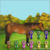 Horse Color:Gray Buckskin 