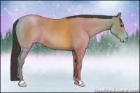 Horse Color:Classic Champagne 