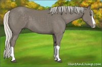 Horse Color:Silver Smoky Black Splash 
