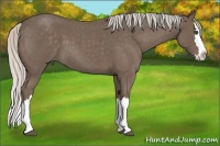 Horse Color:Silver Blue Roan Splash