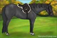 Horse Color:Blue Roan 
