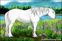 Horse Color:White Spotted Silver Bay Pearl Splash