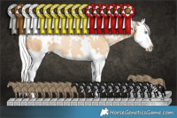 Horse Color:White Spotted Silver Smoky Black Pearl Splash 
