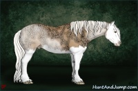 Horse Color:Silver Bay Ice Pearl Splash 