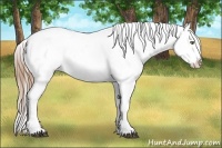 Horse Color:Brown Pearl Varnish 