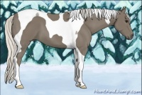Horse Color:Silver Smoky Black Tobiano 