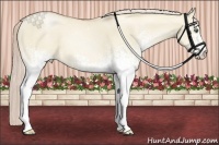 Horse Color:White Spotted Palomino Pearl Dun
