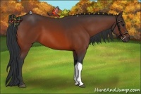 Horse Color:Bay Tobiano Rabicano