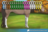 Horse Color:Classic Champagne Tobiano 