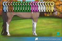 Horse Color:Classic Champagne Tobiano 