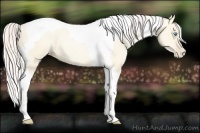 Horse Color:Silver Amber Cream Champagne Pearl Dun Tobiano