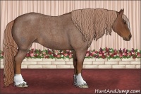 Horse Color:Red Roan 