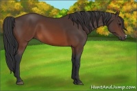 Horse Color:Brown Frame 