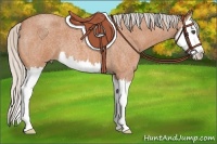 Horse Color:Silver Bay Roan Splash 