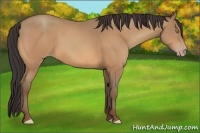 Horse Color:Amber Champagne 