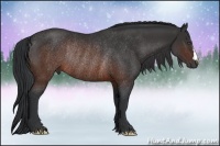 Horse Color:Brown Rabicano