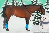 Horse Color:Bay Rabicano 