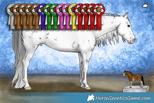 Horse Color:White Spotted Black Sabino 