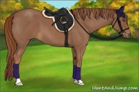 Horse Color:Red Roan 