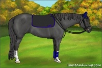 Horse Color:Smoky Blue Roan 