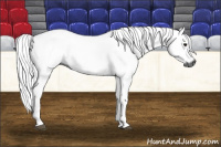 Horse Color:Gray Bay