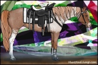 Horse Color:White Spotted Red Roan 