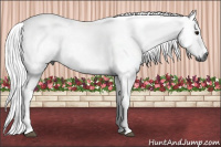 Horse Color:Gray Bay Roan