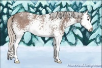 Horse Color:White Spotted Silver Brown Roan Splash Rabicano