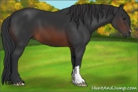 Horse Color:Brown 