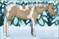 Horse Color:Silver Smoky Grullo Tobiano 