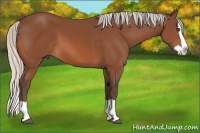 Horse Color:Silver Bay Splash 