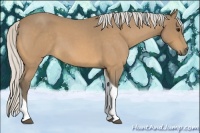 Horse Color:Silver Buckskin Roan Tobiano 