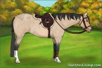 Horse Color:Buckskin Roan 