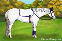 Horse Color:White Spotted Bay Roan Appaloosa