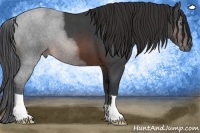Horse Color:Brown Roan