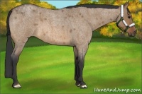 Horse Color:Bay Roan Dun Frame 