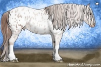 Horse Color:Red Roan Near Leopard