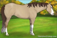 Horse Color:Classic Champagne Roan Dun Splash