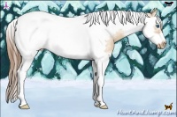 Horse Color:Bay Pearl Dun Sabino Splash Tobiano Frame Rabicano