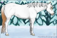 Horse Color:Gold Champagne Ice Roan Dun Splash Tobiano Frame 