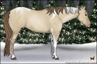 Horse Color:Grullo Pearl Tobiano