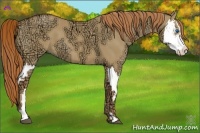Horse Color:Red Dun Ice Splash Frame 