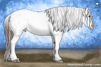 Horse Color:Brown Roan Appaloosa Rabicano 