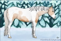 Horse Color:Silver Bay Sabino Tobiano 
