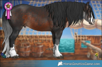 Horse Color:Brown Rabicano 