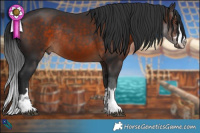 Horse Color:Brown Rabicano