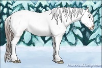 Horse Color:Black Splash Blanket