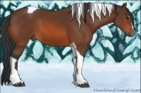Horse Color:Bay Sabino Tobiano