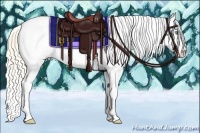 Horse Color:Perlino Dun Tobiano Appaloosa